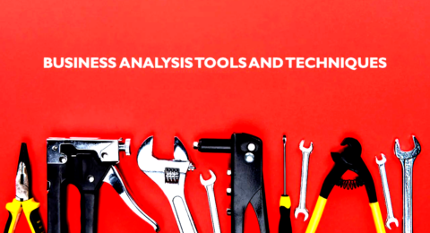 DBS-Business-Analysis-Tools-and-Techniques