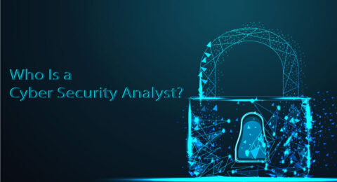 cyber security analyst